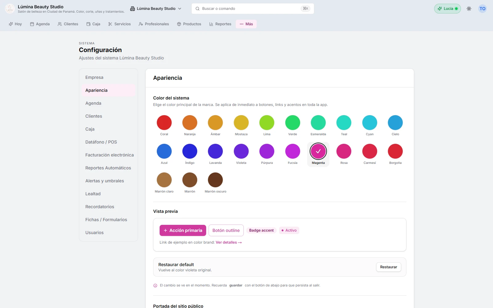 Pantalla de apariencia en Citook: el selector de color de marca con una vista previa en vivo de botones y acentos